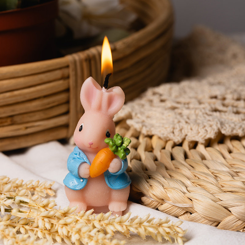 子供用パーティー用品　クリエイティブな誕生日キャンドル　可愛 - Candle Supply のレビューと価格